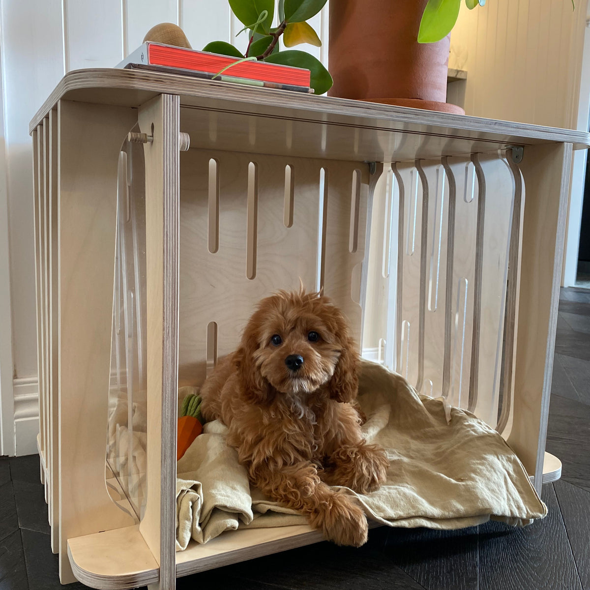 View of Wooden Dog Crate Decorating Ideas for Your Home! – The Paws Room