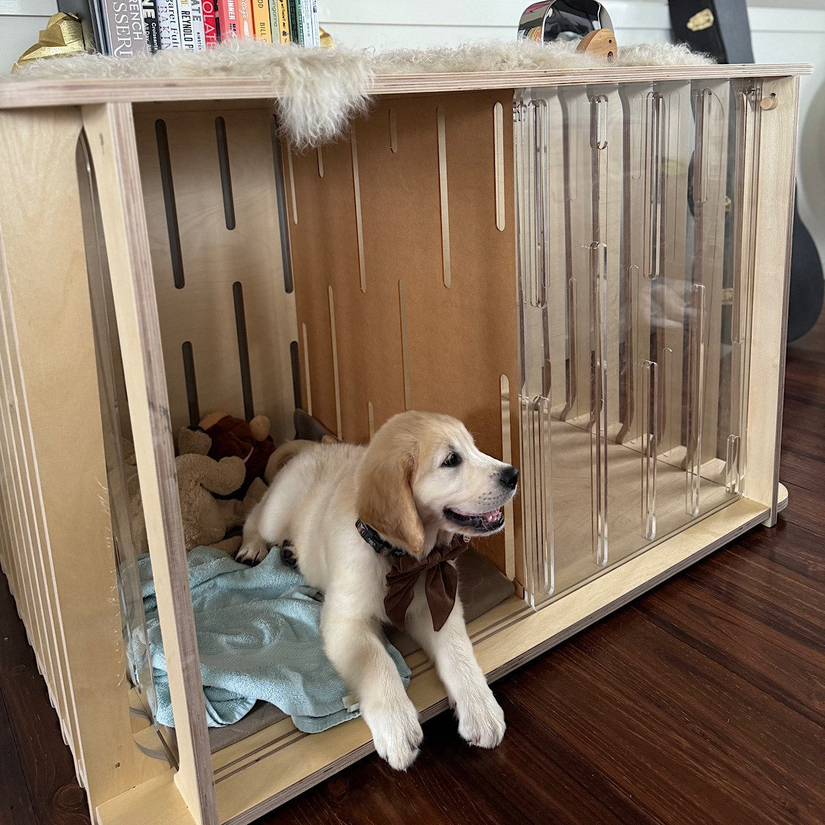 Mastering Puppy Crate Training: Expert Tips for Success