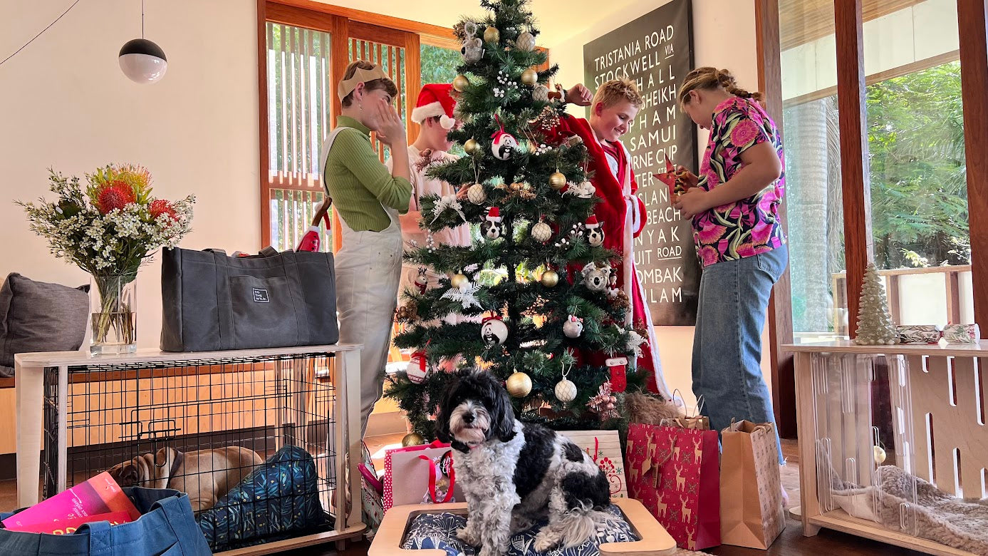 Tail wagging tips to enjoy the holiday season with your new pup 🐶🎄