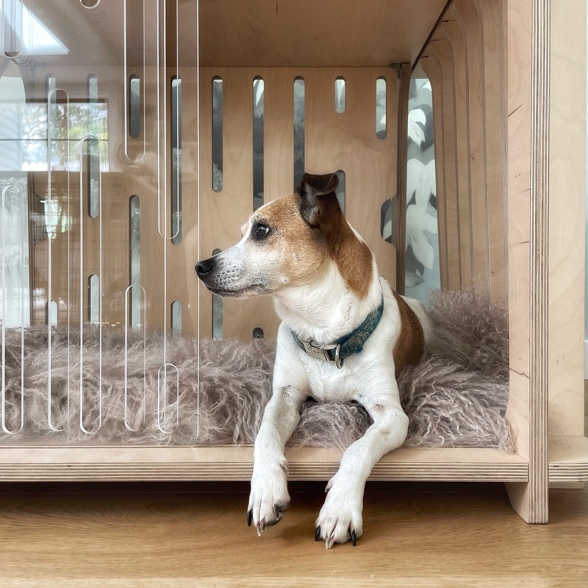 The Benefits of Crate Training