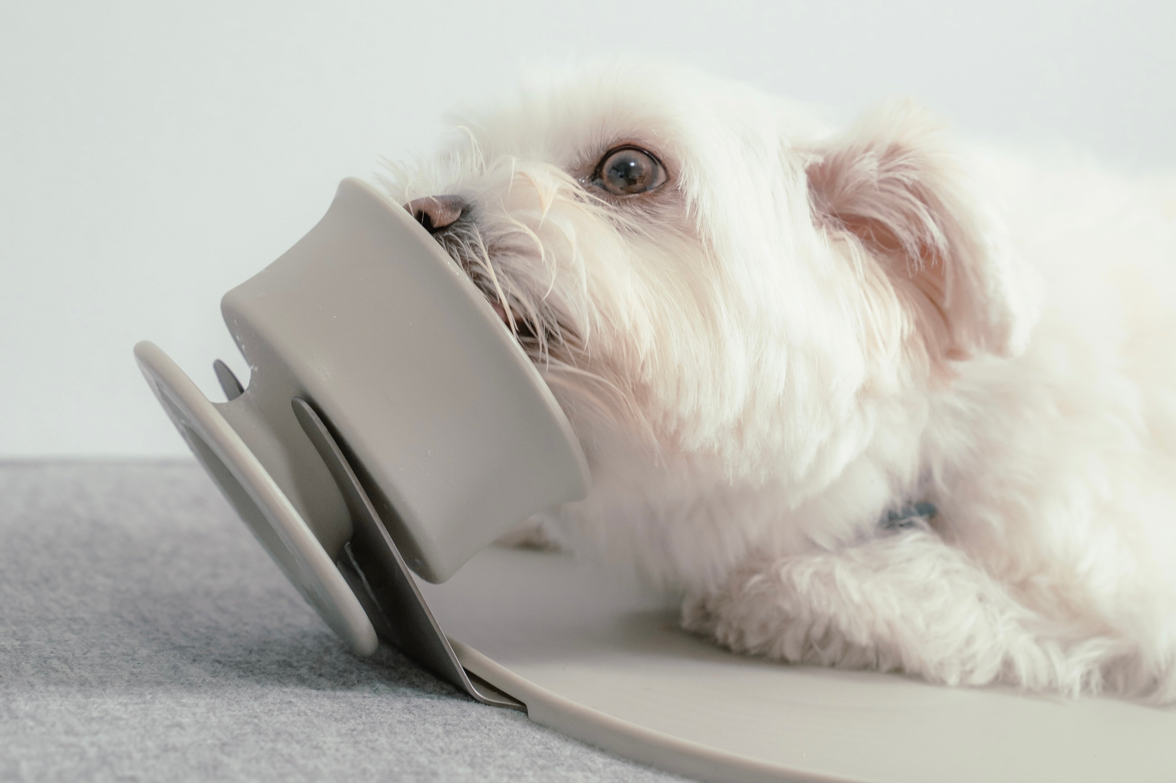 Black Friday Gift Image