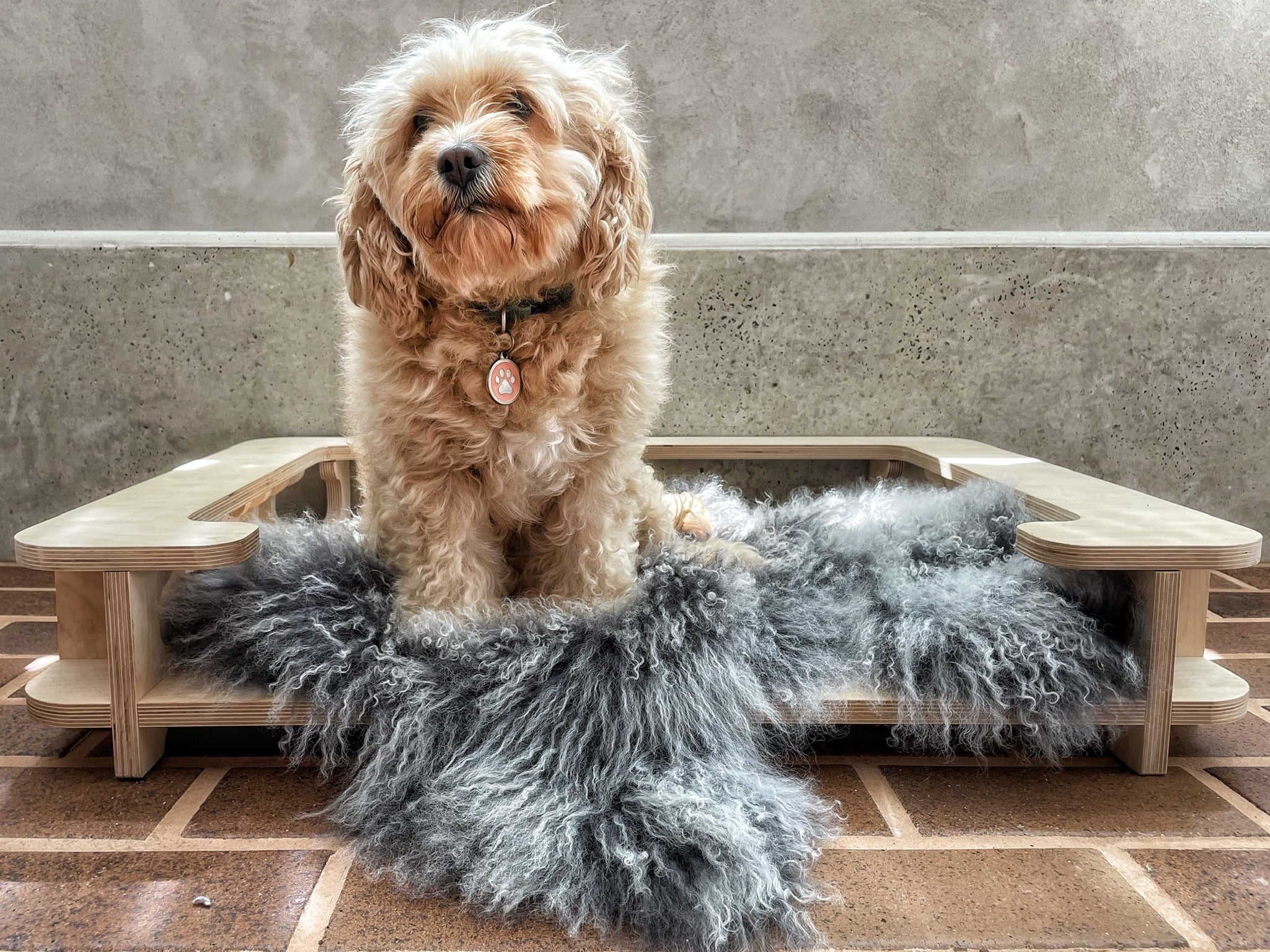 Molly the Sheepskin Mat (Merino or Mongolian)