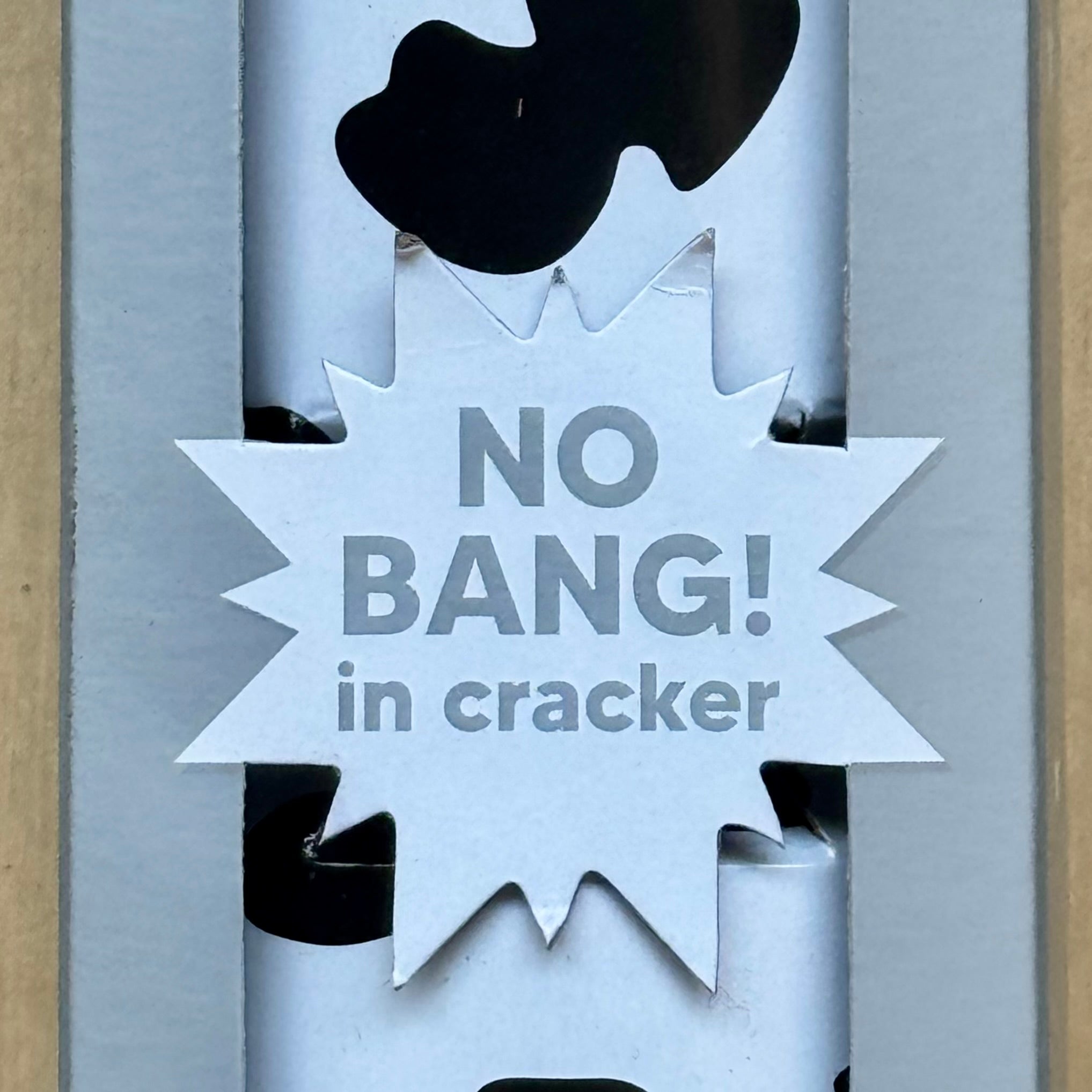 No Bang Christmas Dog Crackers with Fun Gift (Set of 2)