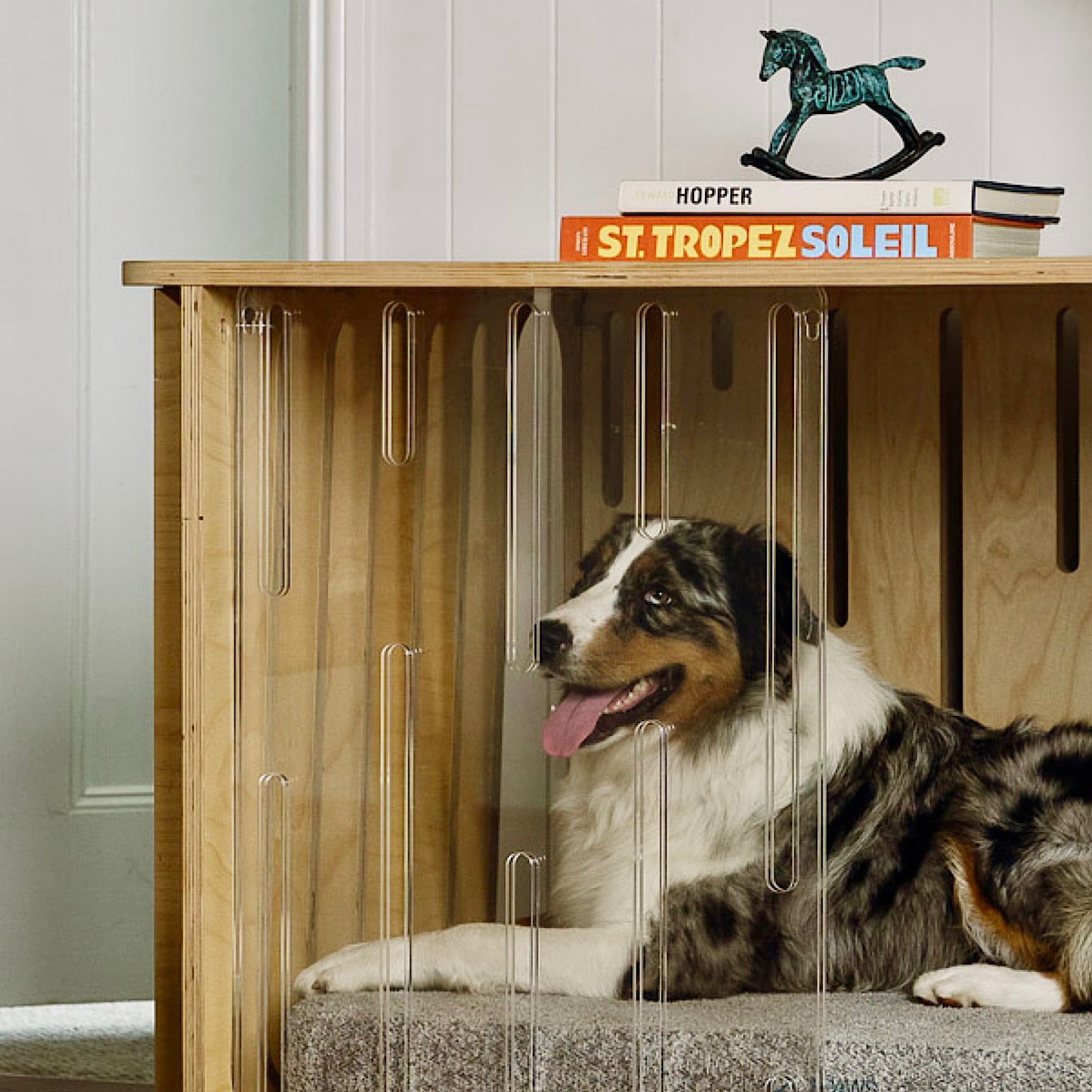 Teddy Dog Crate Set - from Puppy to Adulthood