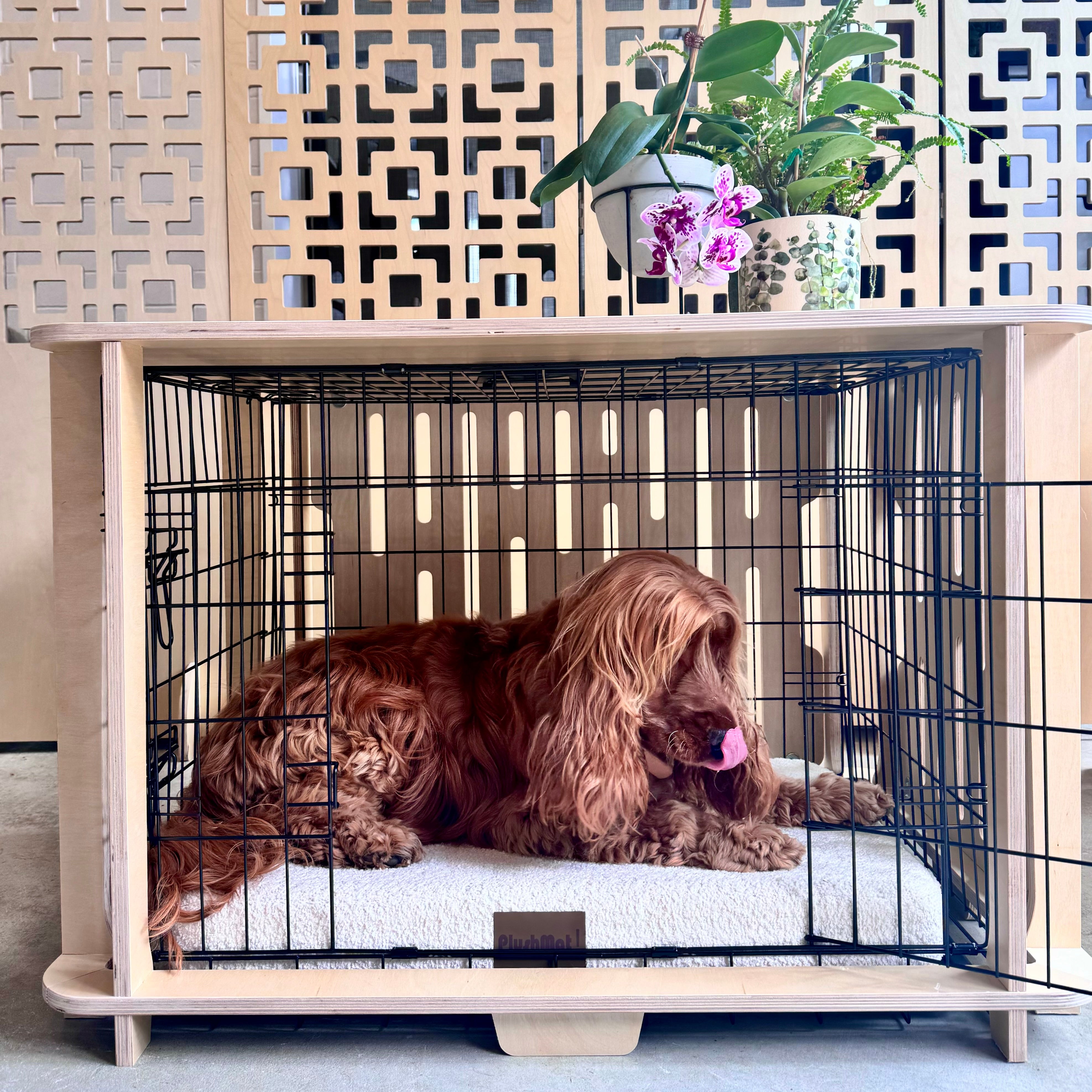 Busta Crate Cover and Furniture in One