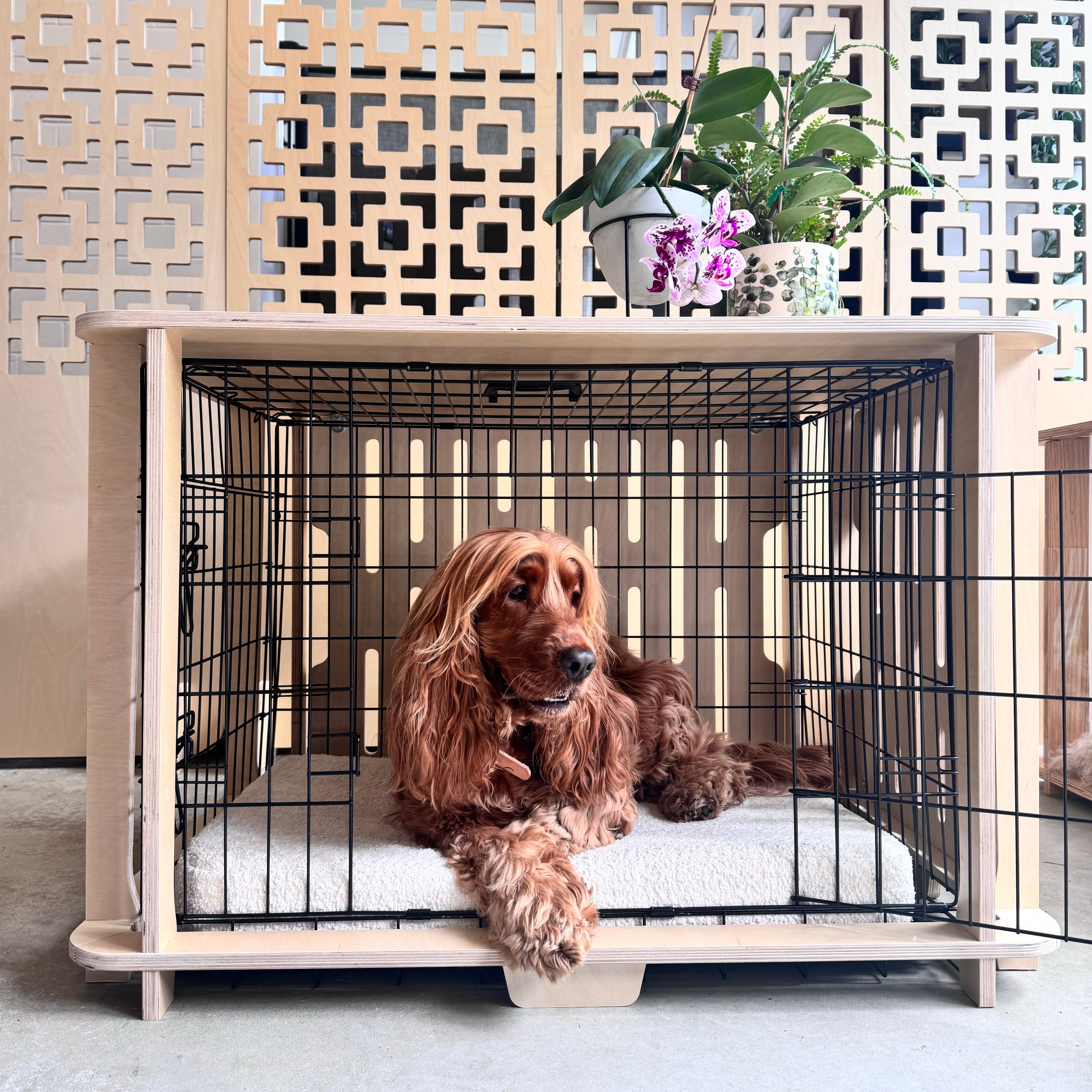 Busta Crate Enrichment Bundle - save more with FREE SHIPPING