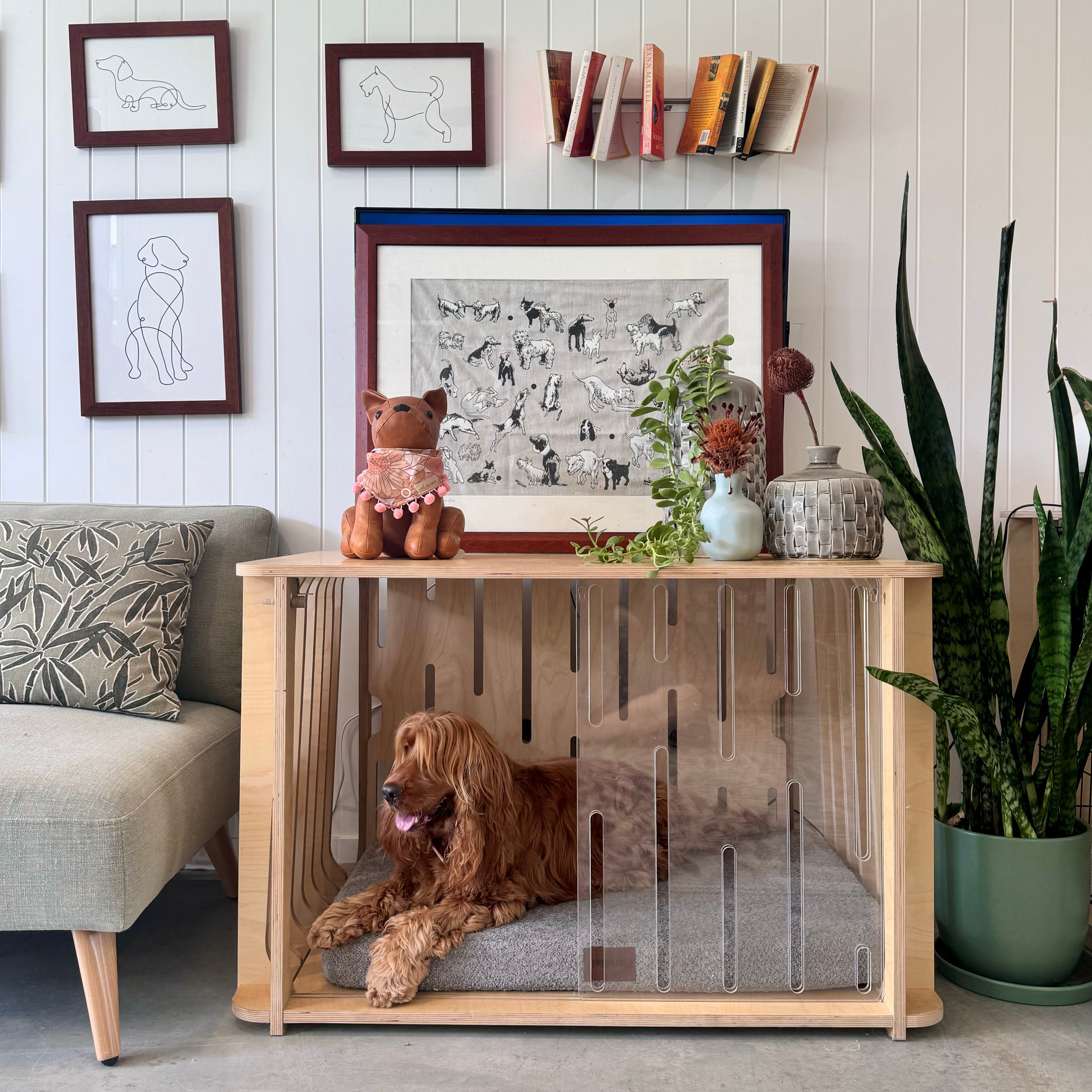 Teddy Crate Enrichment Bundle - Save more with FREE SHIPPING by