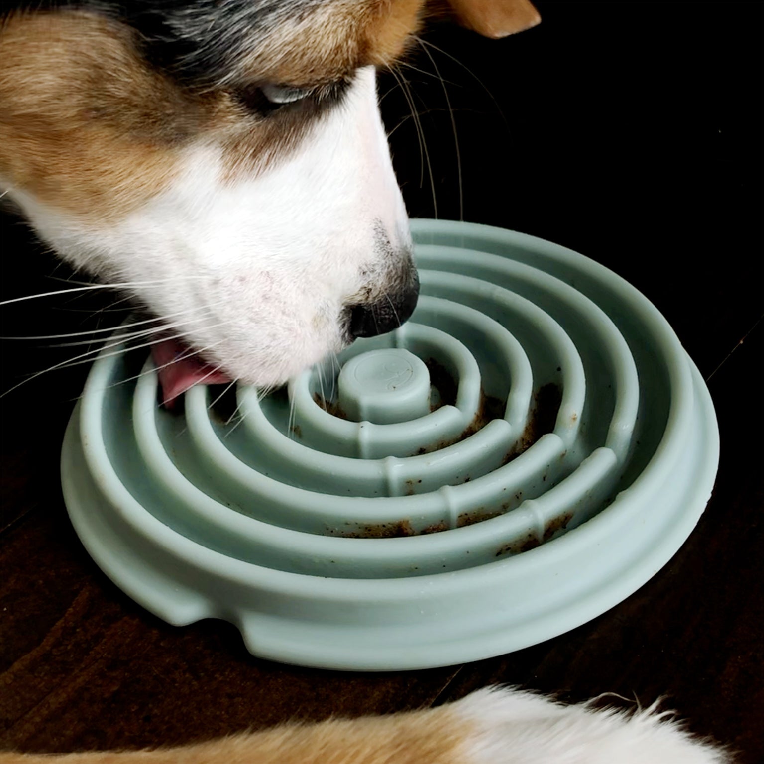 Busta Dog Crate Cover Set - From Puppy to Adulthood