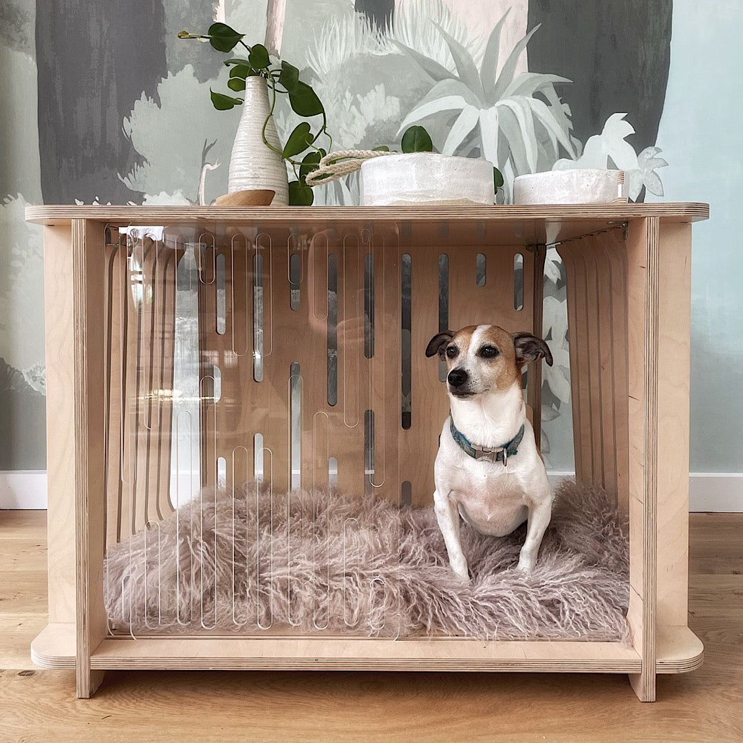 A dog enjoying its stylish wooden Teddy Designer Crate