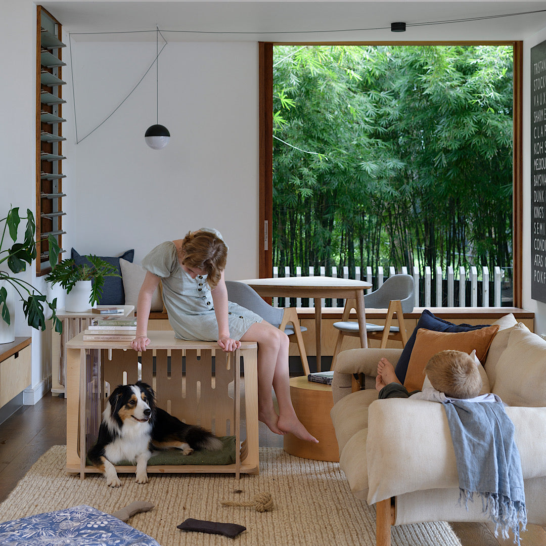A stylish living room setup with the Teddy Designer Dog Crate and a girl petting her dog