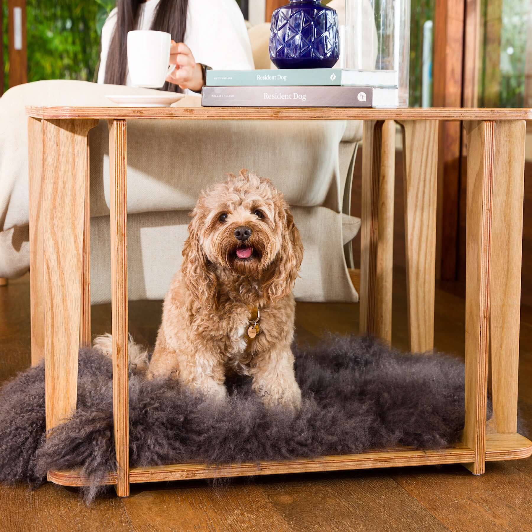 Interior shot of Archie the Luxury Dog Crate used as a comfortable wooden dog bed