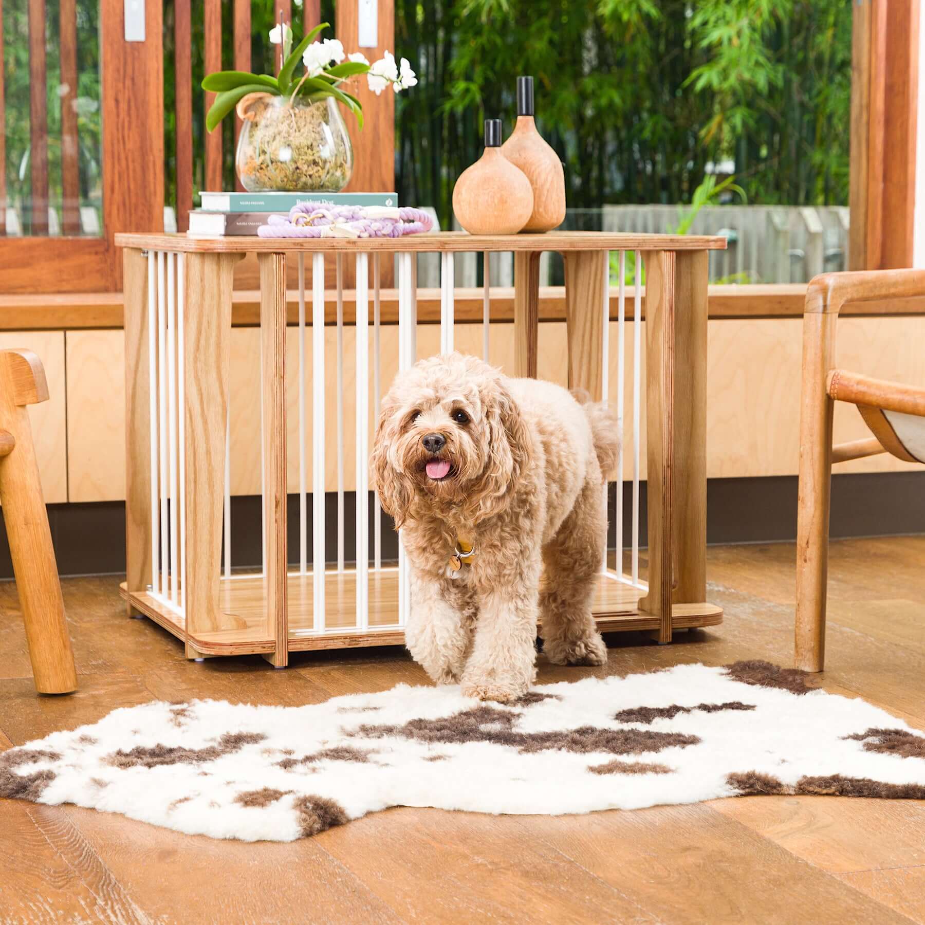 A pet dog standing beside Archie the Luxury Dog Crate in a home setting