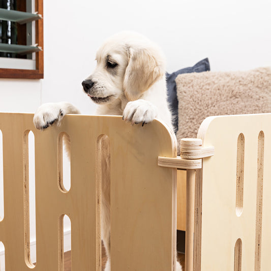 Why have a pen for your pup