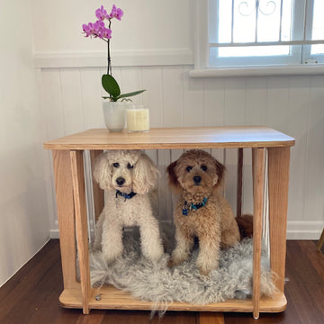 Vets in the Village love crate training. Here's why.