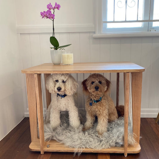 Vets in the Village love crate training. Here's why.