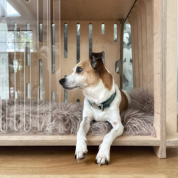 The Benefits of Crate Training