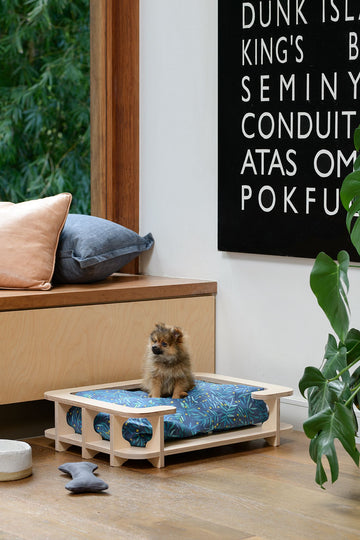 How to prepare for your puppy’s first night at home