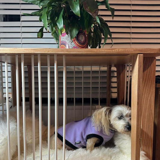 The Aussie Dog Showroom is where pet parents find the dog products their dog will love