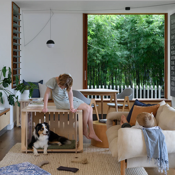 See the range in person, bring your dog and find the right fit together.
