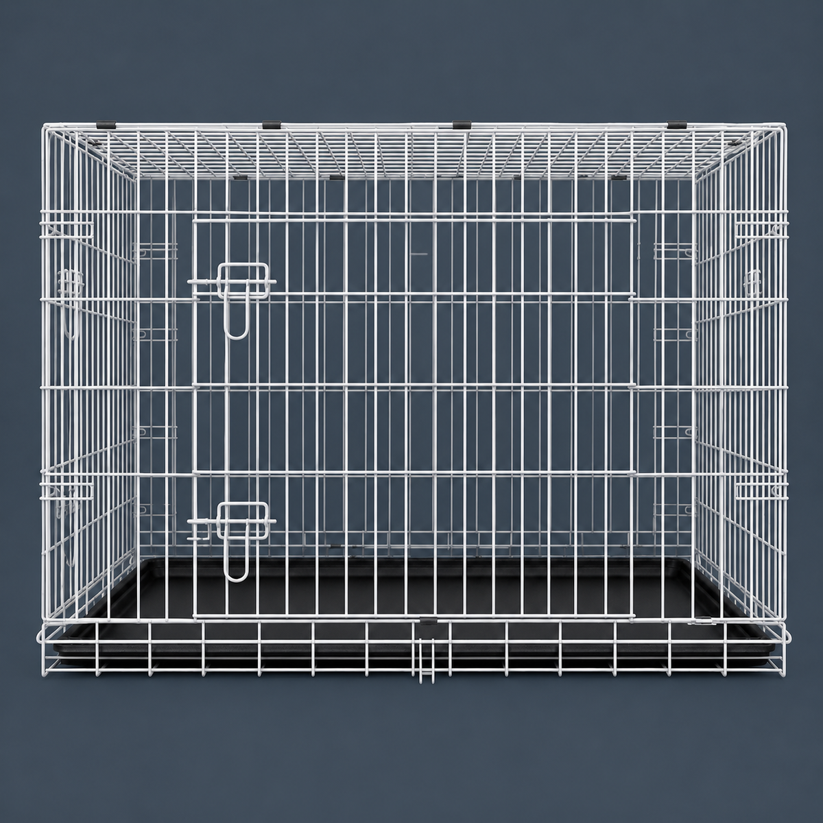 The Paws Room