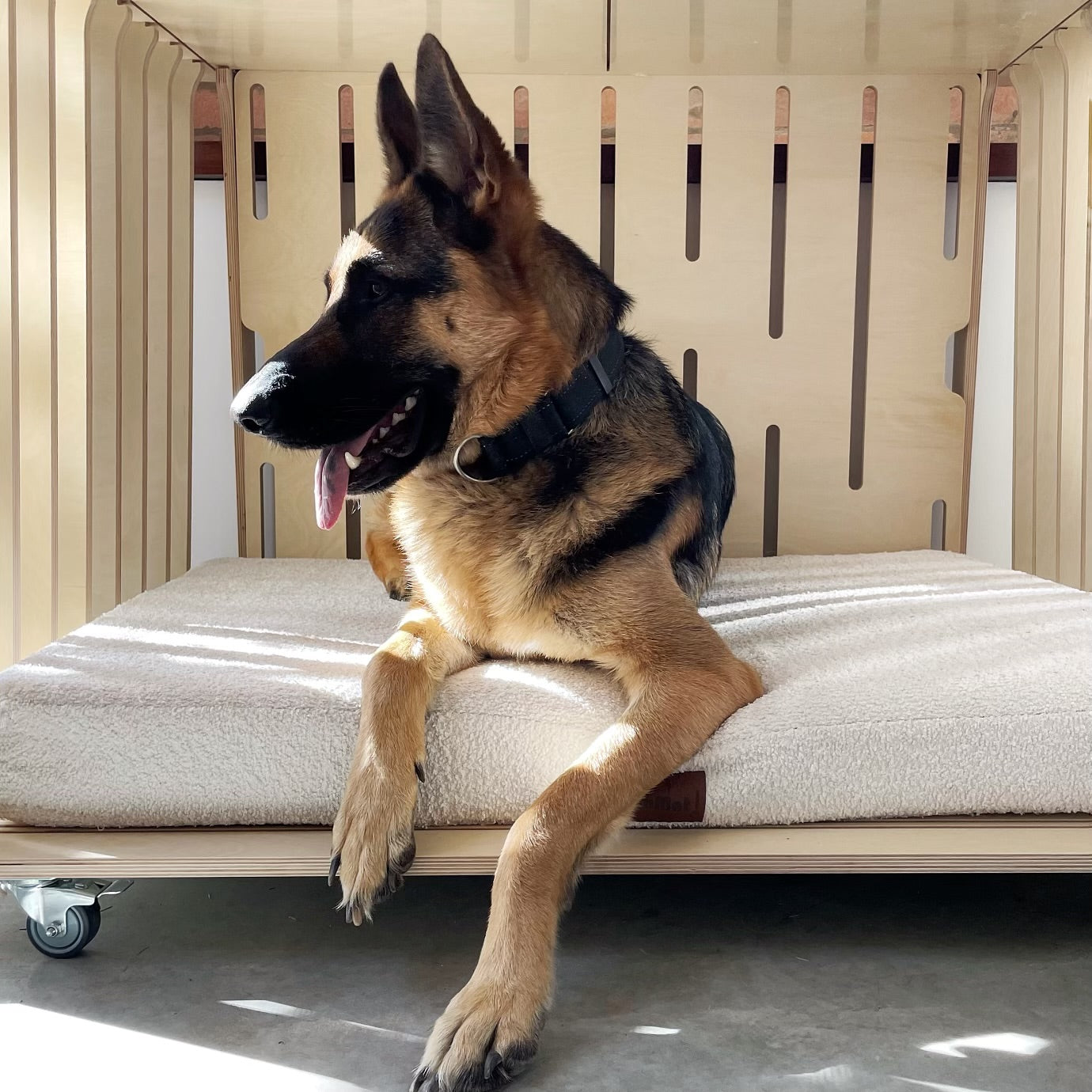 XL Teddy Crate and Orthopaedic Mat Bundle