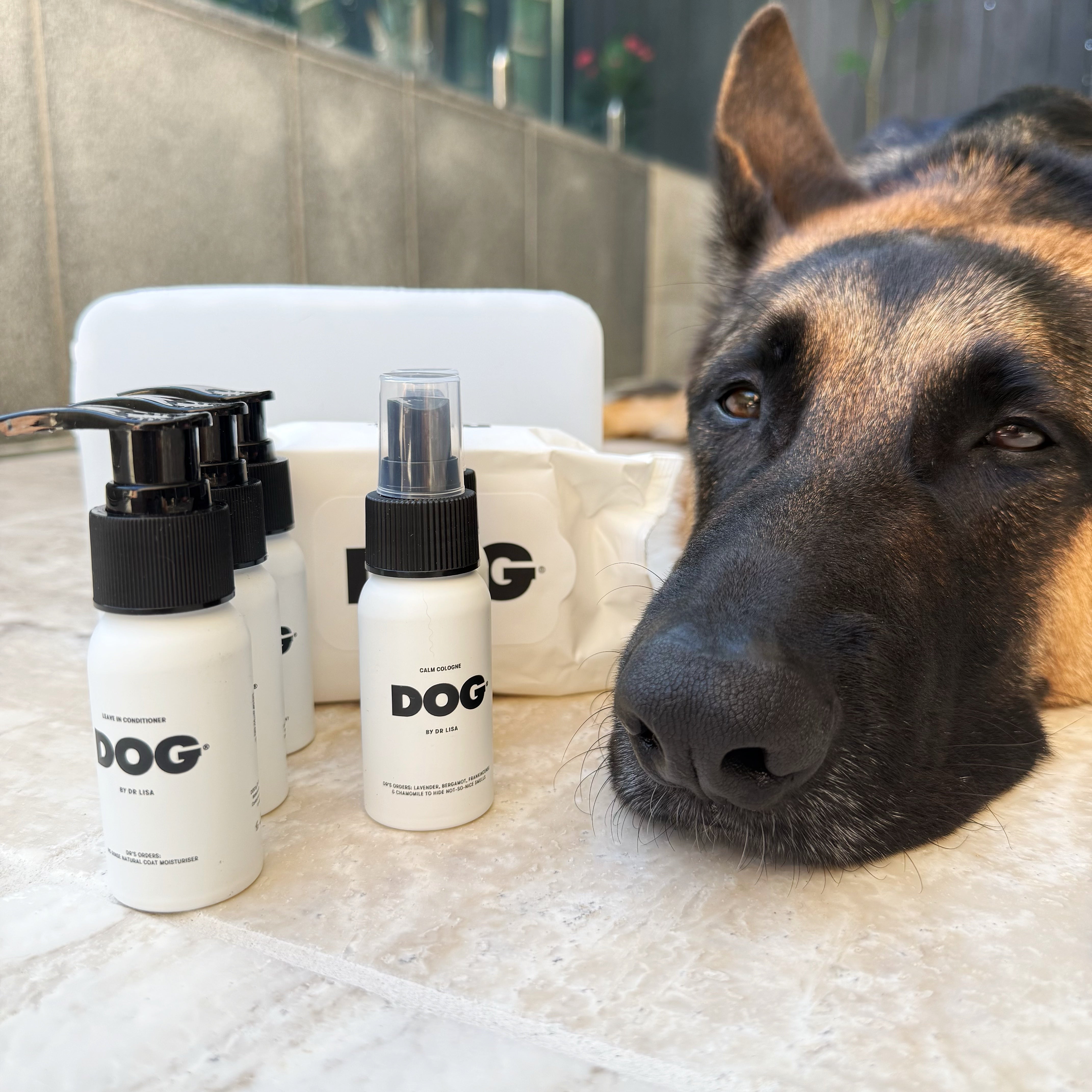 Puppy Care Pack - Vet Recommended Grooming Essentials