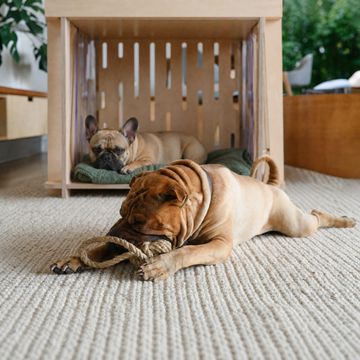 Home feels calmer when everyone has their own space.