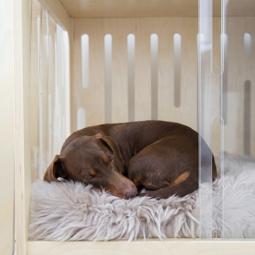 Create a comfortable space where healing can happen.