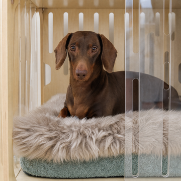 Sometimes the hardest part of recovery is helping them slow down.