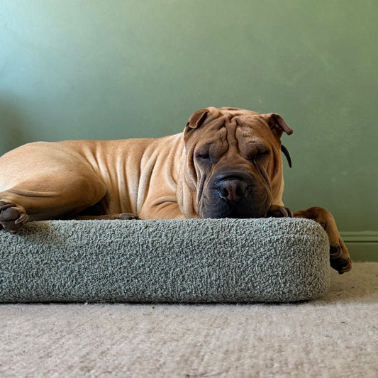Peppa Supportive Crate Mat