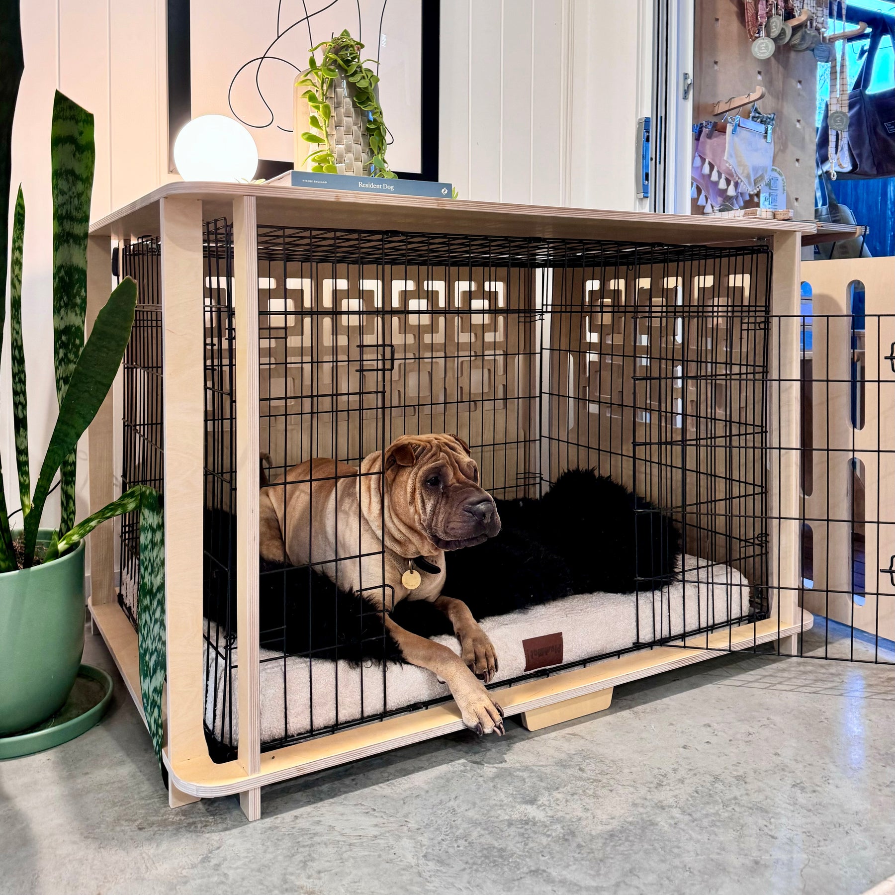 View of The Paws Room Wooden Dog Crate Furniture