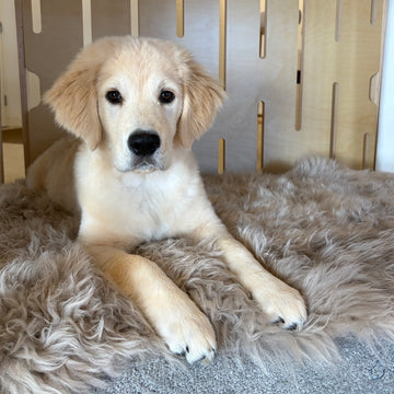 What can we help you with?