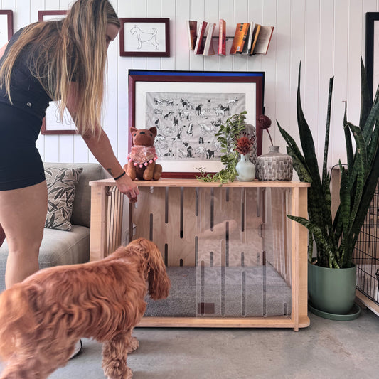 Teddy furniture-style dog crate in birch styled as part of a modern living room with removable clear acrylic sliding doors, showing how a dog's own space can blend naturally into the home.