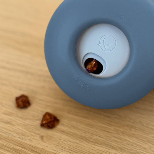 Pebble Enrichment Toy