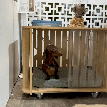 Try Teddy for size at our Brisbane-based showroom