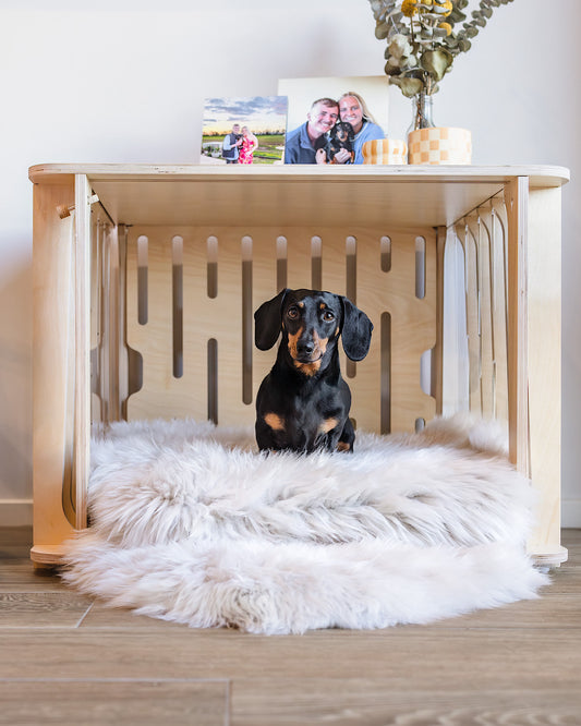 Molly the Sheepskin Mat