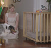 Teddy Dog Crate