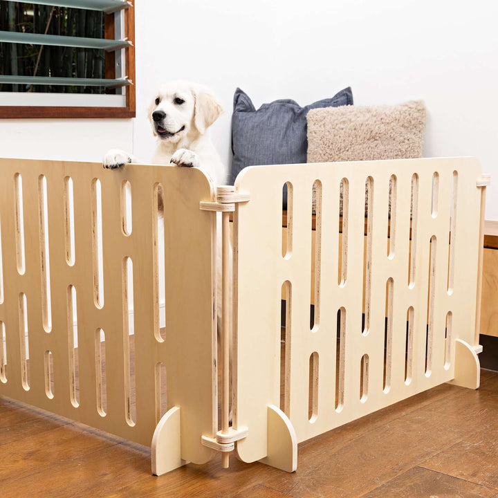 A puppy enclosed within the wooden barriers of the 'Buddy The Modern Puppy Pen'