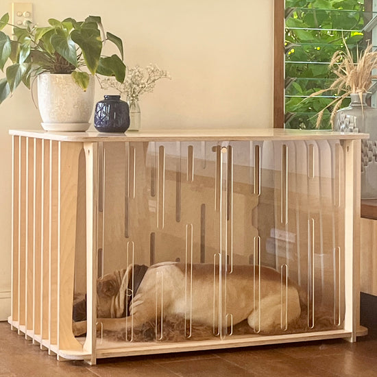 A dog peacefully sleeping inside the Teddy Designer Dog Crate