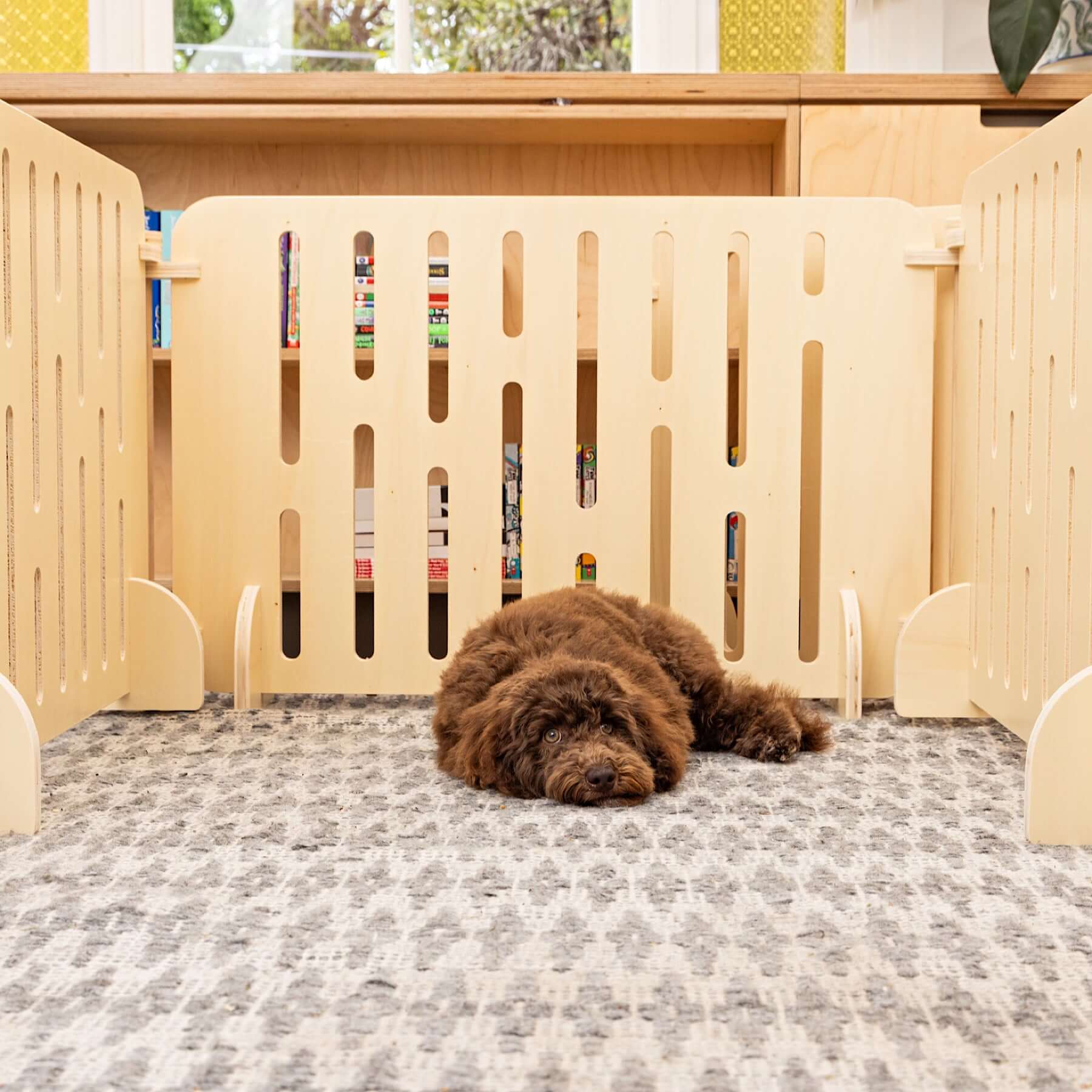 A puppy resting on the floor inside the 'Buddy The Modern Puppy Pen'