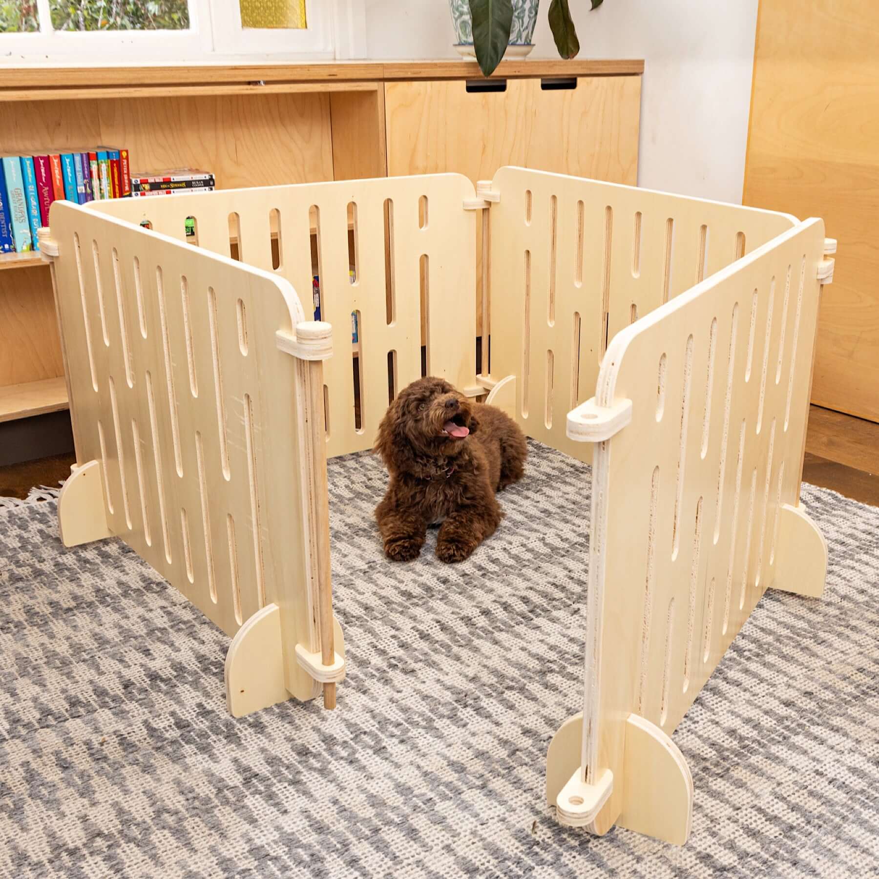 A puppy calmly sitting within the confines of the 'Buddy The Modern Puppy Pen'