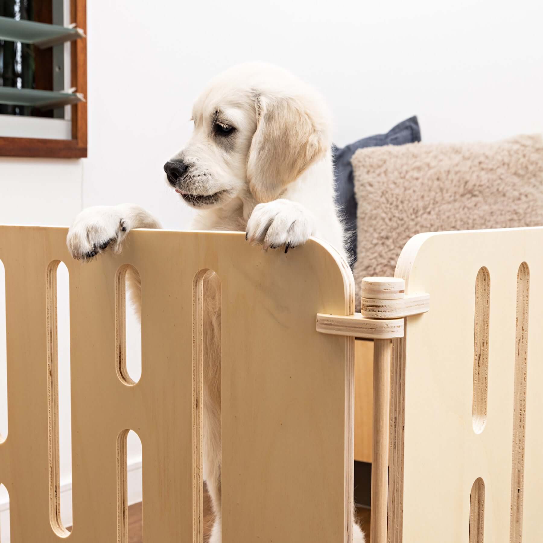 A puppy perched atop the wooden panel of the 'Buddy The Modern Puppy Pen'